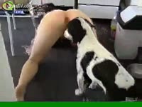 Zoo XXX - Doggie licking 2 holes at the same time